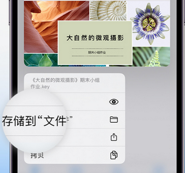 荔波apple维修中心分享iPhone文件应用中存储和找到下载文件