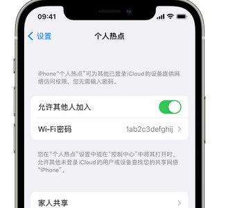 荔波apple服务站点分享iPhone上个人热点丢失了怎么办