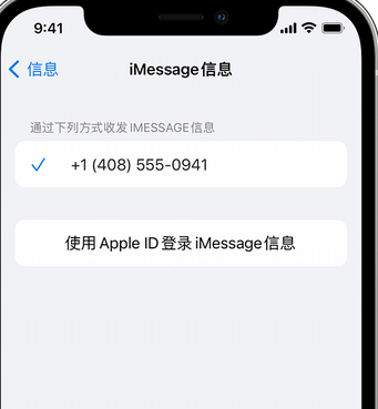 荔波apple维修iPhone上无法正常发送iMessage信息