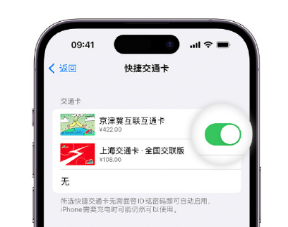 荔波apple维修点分享iPhone上更换Apple Pay快捷交通卡手绘卡面 