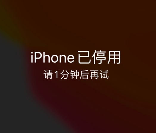 荔波苹果手机维修分享:iPhone 显示“不可用”或“已停用”怎么办？还能保留数据吗？ 