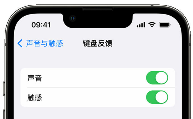 荔波苹果手机维修分享iPhone 14触感键盘使用方法 