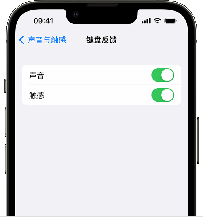 荔波苹果14维修店分享如何在 iPhone 14 机型中使用触感键盘 