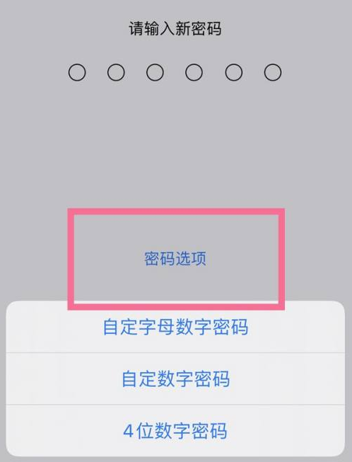 荔波苹果14维修分享iPhone 14plus设置密码的方法 