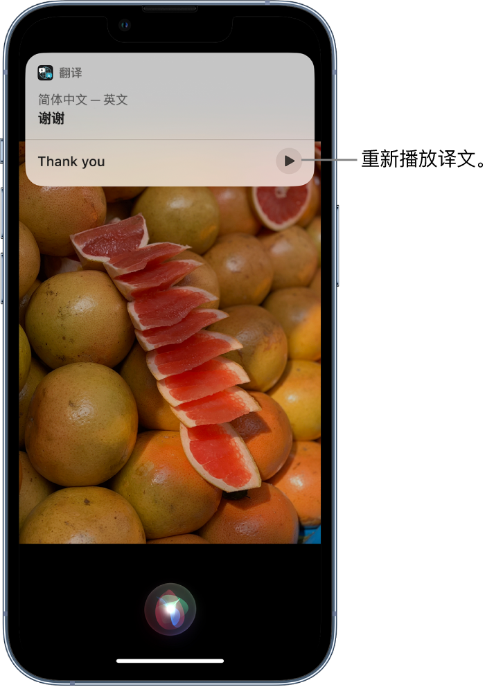 荔波苹果14维修分享 iPhone 14 机型中使用 Siri：了解 Siri 能帮你做什么 