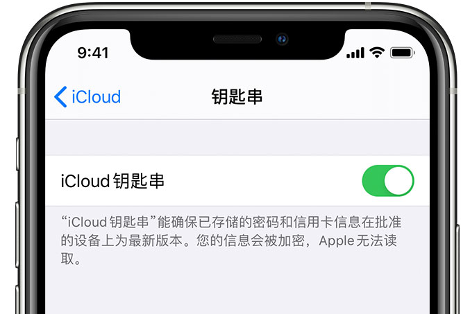 荔波苹果手机维修分享在 iPhone 上开启 iCloud 钥匙串之后会储存哪些信息 