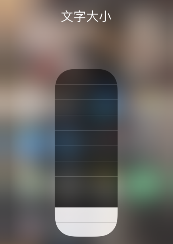 荔波苹果手机维修分享小技巧：在 iPhone 控制中心快速调节字体大小 