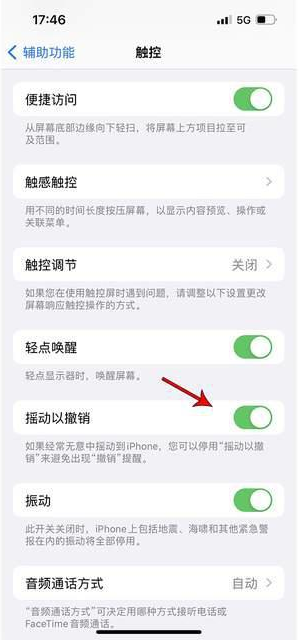 荔波苹果手机维修分享iPhone手机如何设置摇一摇删除文字 