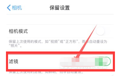 荔波苹果13维修分享iPhone13拍照有绿点是怎么回事 
