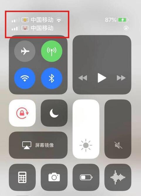 荔波苹果手机维修分享为 iPhone 12 双卡设置标签 