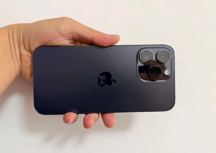 荔波苹果维修点分享iPhone 14 Pro Max黑屏少见故障盘点 