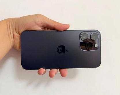 荔波苹果维修点分享iPhone 14 Pro Max发烫多重诱因剖析 